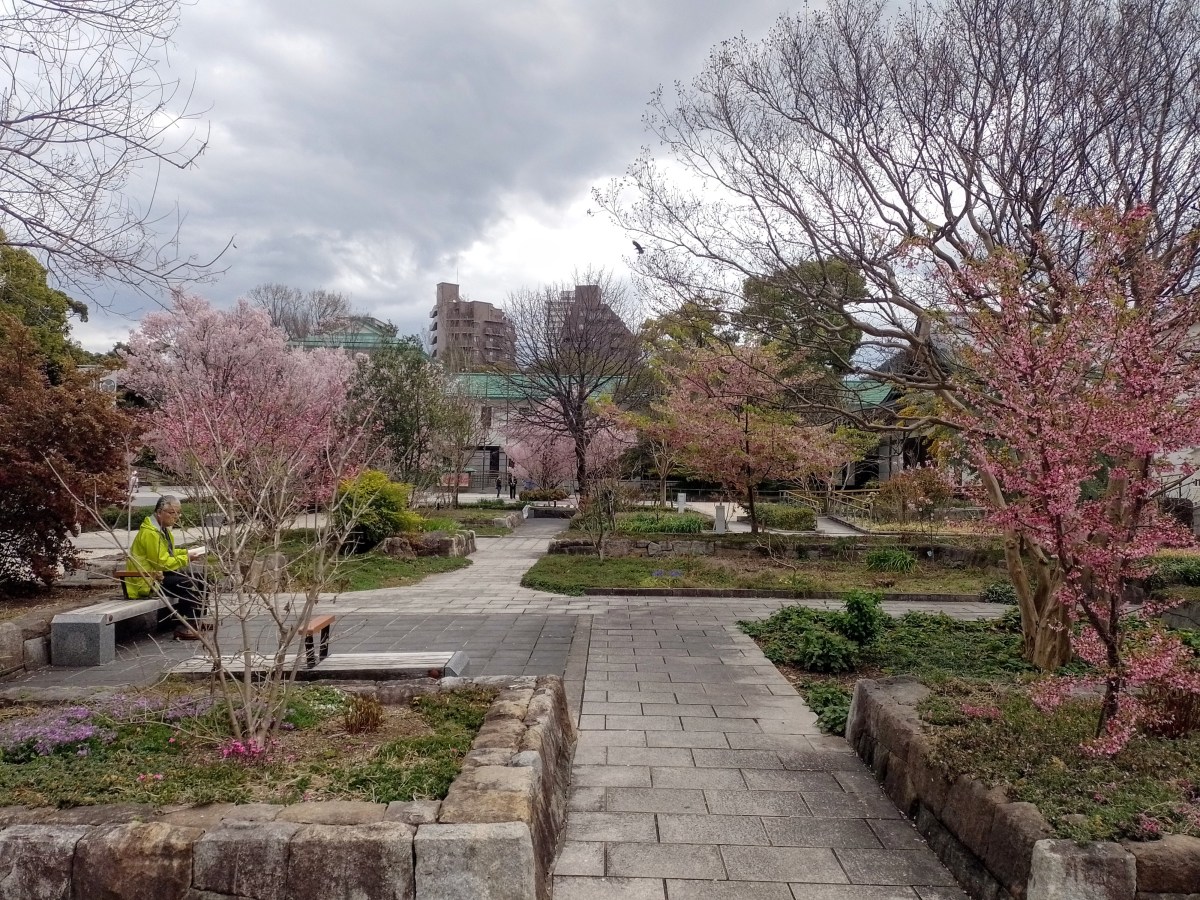 19. Ankunft in Japan –&nbsp;Nippon