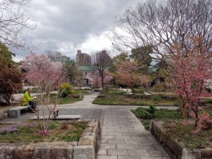 19. Ankunft in Japan –&nbsp;Nippon